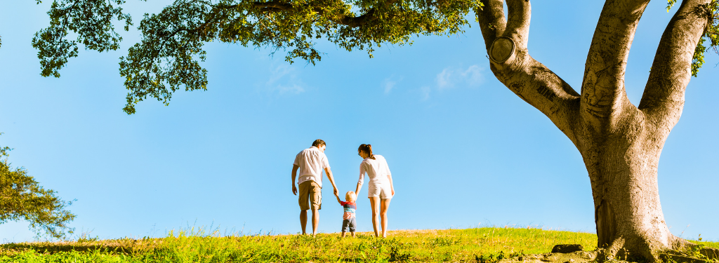 Young family holding hands under tree